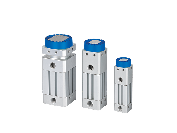 あ　IMAGE〜　LA限定盤A ＋VIIsual FC盤 国内盤CD☆藤岡正明/Masaaki Fujioka□ V.S.~Various Sessions